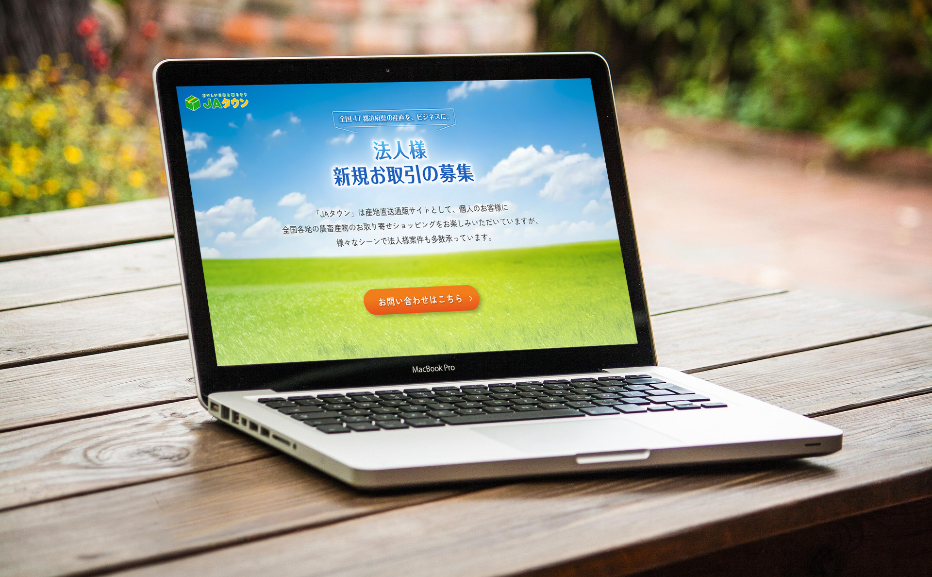 lp表示イメージ