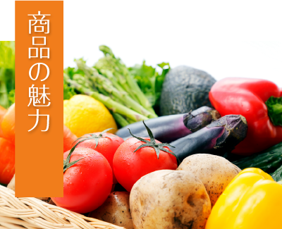 商品の魅力