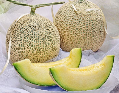 フルーツ＆野菜