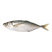 水産物