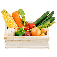 野菜BOX